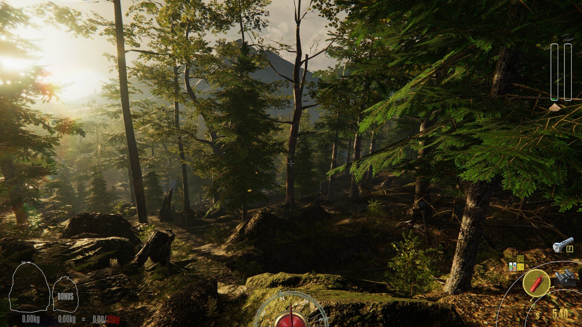 森林 豪华版 截图21